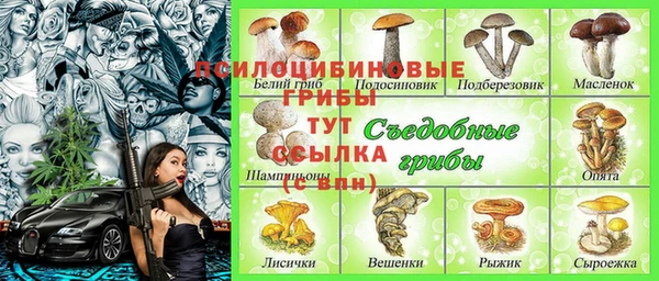 первитин Михайловск