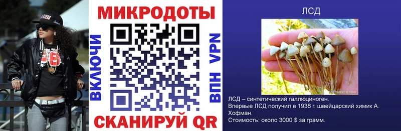 как найти наркотики  MEGA ТОР  Галлюциногенные грибы GOLDEN TEACHER  Слюдянка 
